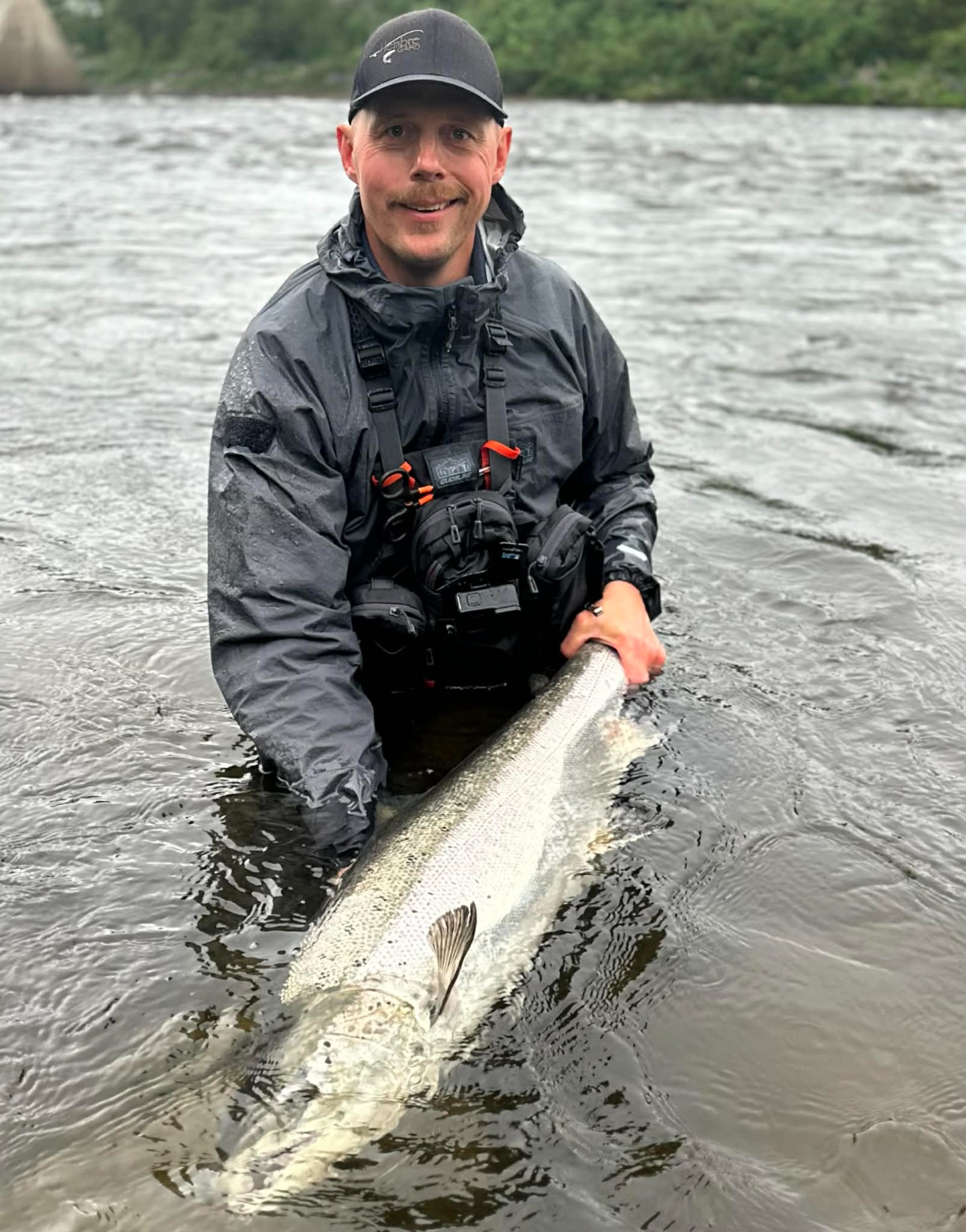 Elver: Stjørdalselva
